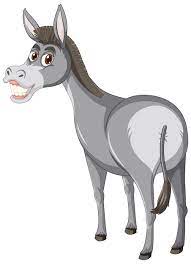 Donkey